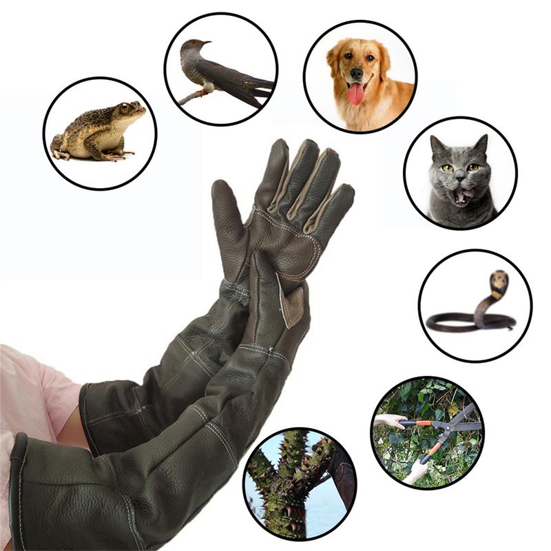 Huisdierenhandschoenen Koeienh - Gardening Tools Gloves recensie en prijs