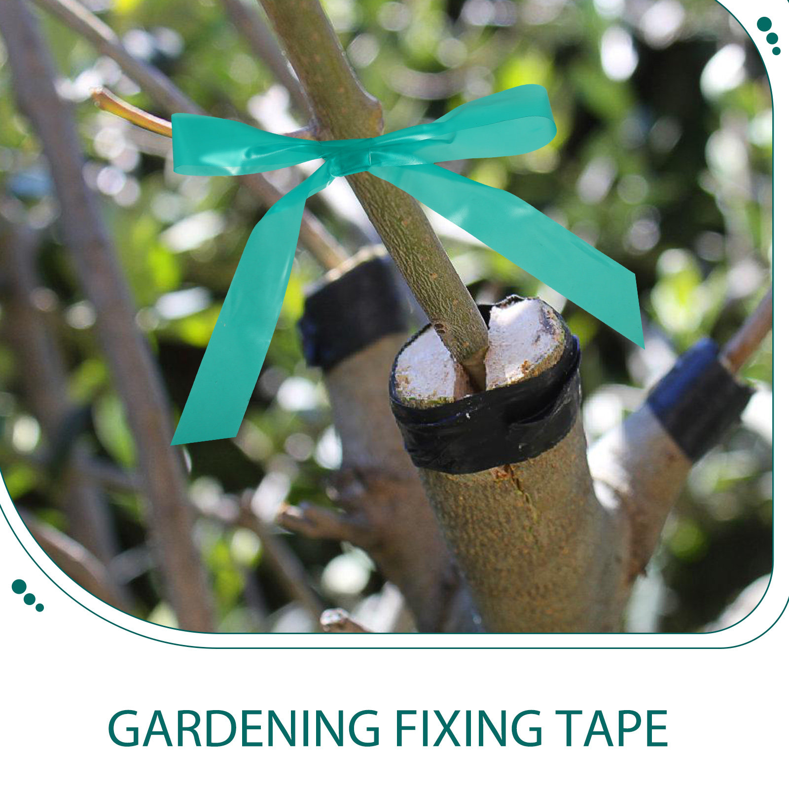 2 stuks 2 rollen rekbare entta - Grafting Tape recensie en prijs