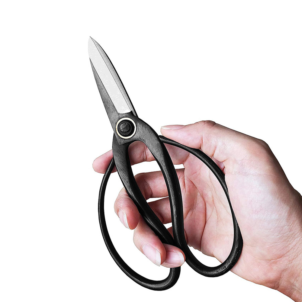 Professionele Bonsai Schaar Tr - Gardening Tool recensie en prijs
