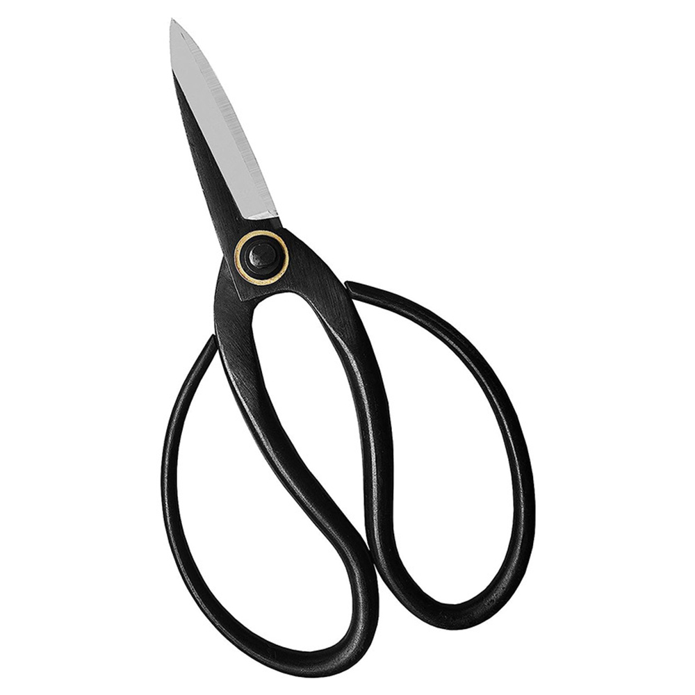 Professionele Bonsai Schaar Tr - Gardening Tool recensie en prijs
